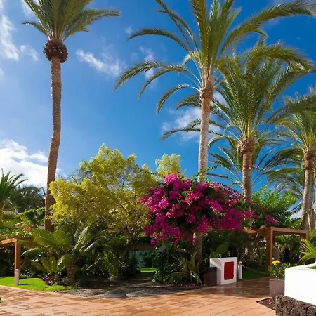 Duplex 3 Bed In Americas By Dream Homes Tenerife Appartement